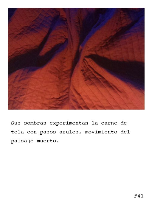 Poetografía 41